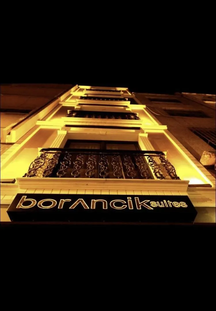 Borancik Suit Hotel Istanbul